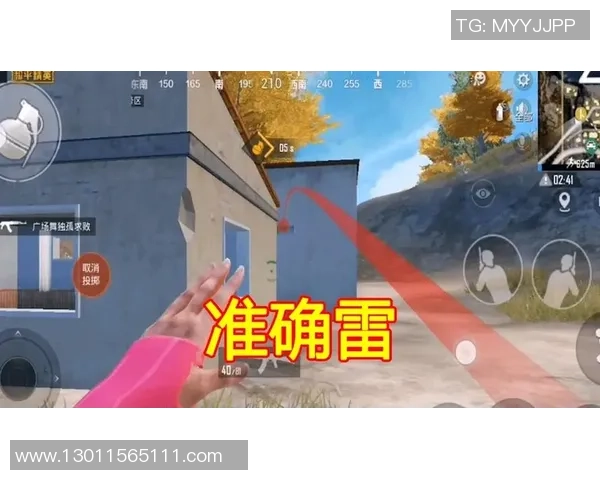 科学和平精英心理素质提升的有效训练方法与策略探讨MBA