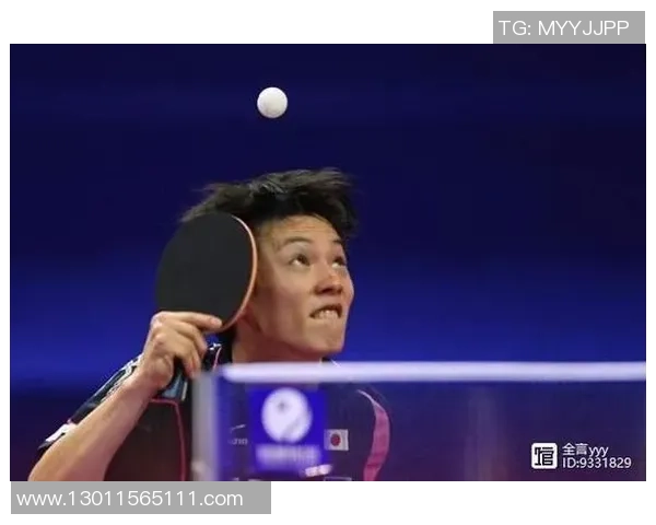 西安网球队与北京网球队赛后分析力量对比与战术总结